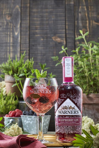 Warner's Raspberries Gin